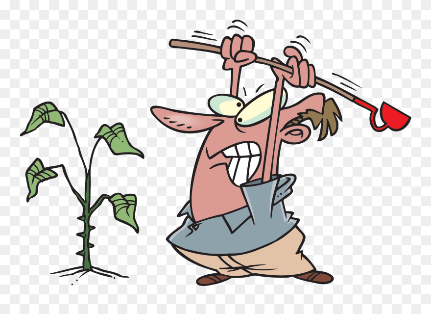 Free Pulling Weeds Cliparts, Download Free Clip Art, - Weeds Clip Art - Png Download