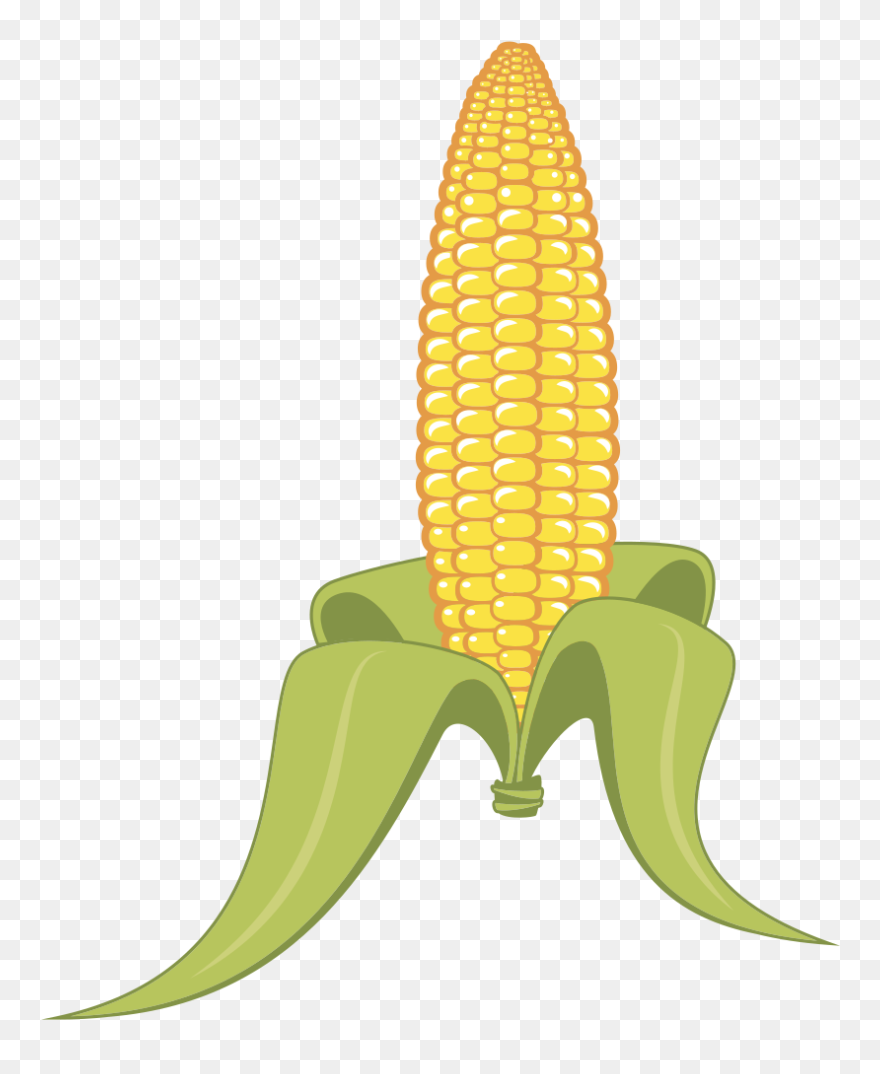 Corn - Clipart Png Cob Corn Transparent Png
