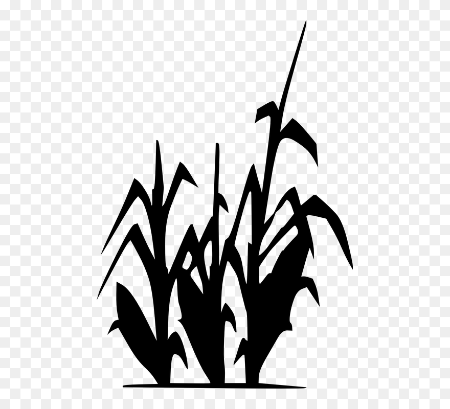 Rose Silhouette Cliparts 9, Buy Clip Art - Corn Stalk Clipart Black And White - Png Download