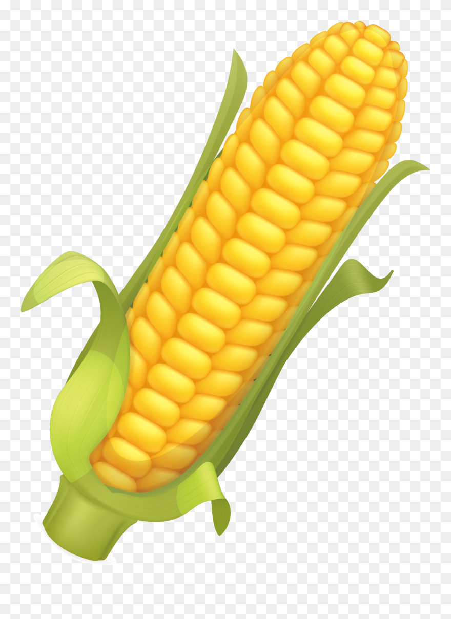 Corn Flakes Maize Corncob Side Dish Png Image Clipart