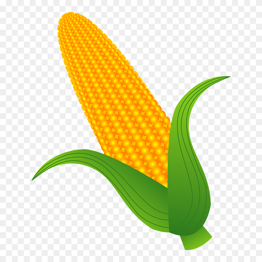 Corn Vegetable Clipart - Illustration - Png Download