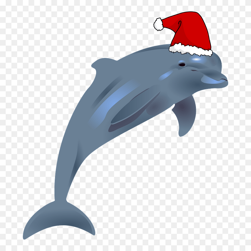 Dolphin With Santa Hat Clipart - Dolphins Transparent - Png Download