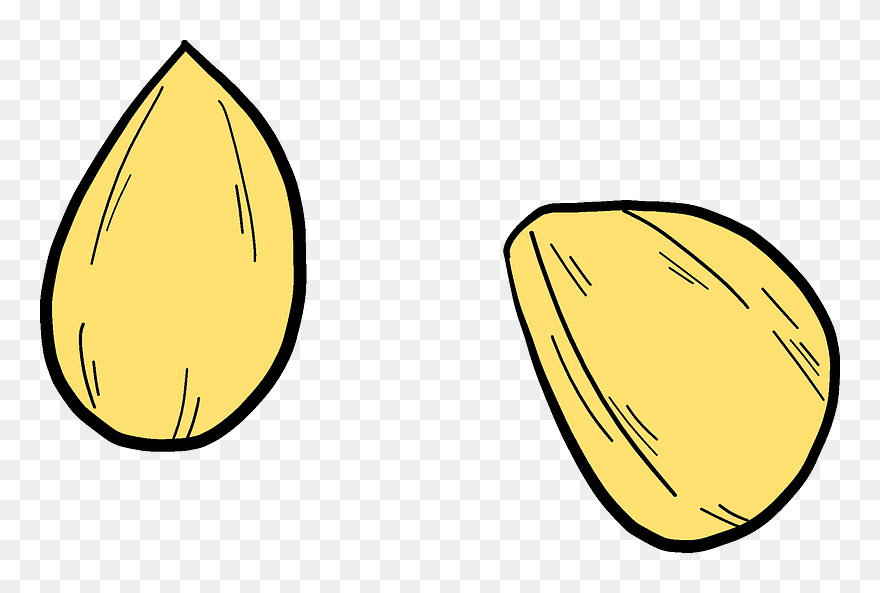 Corn Kernels Clipart - Png Download