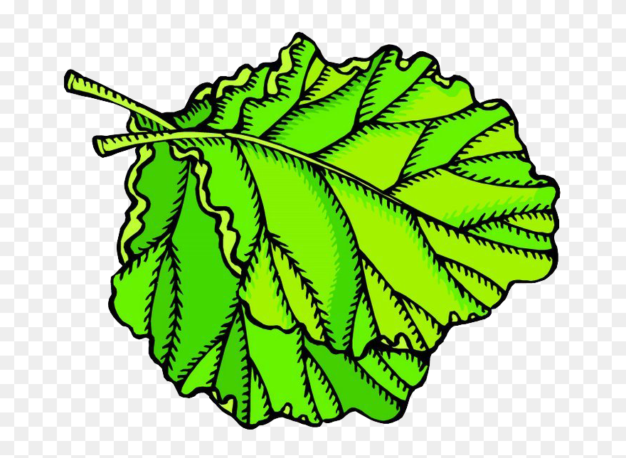 Fruit Leaf Vegetable Animation Clip Art - Clip Art - Png Download