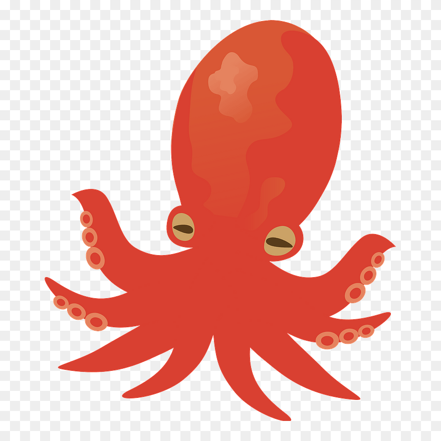 Octopus Animal Clipart - Illustration - Png Download