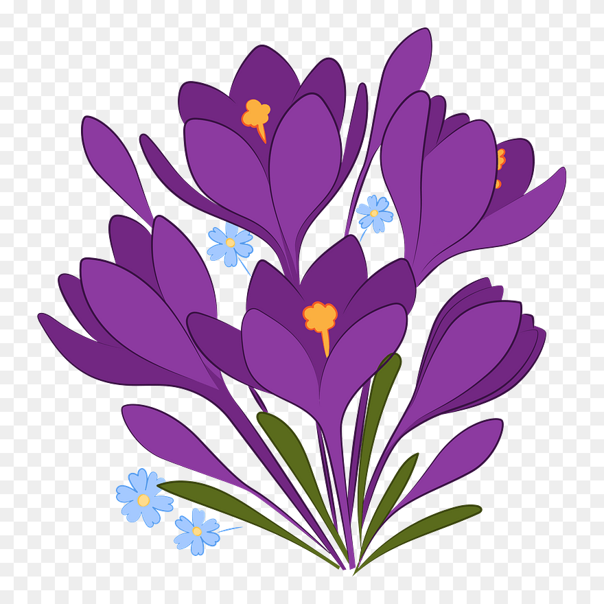 Spring Flowers Clipart - Crocus - Png Download