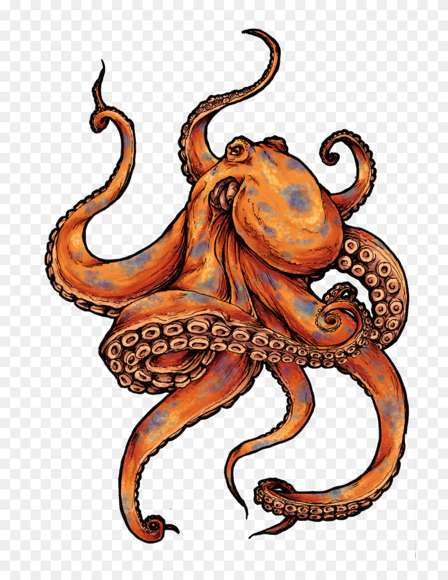 Colored Octopus Tattoo Design Clipart