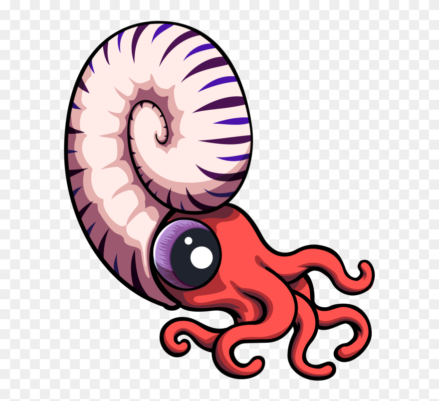 Ammonite Icon Png Clipart