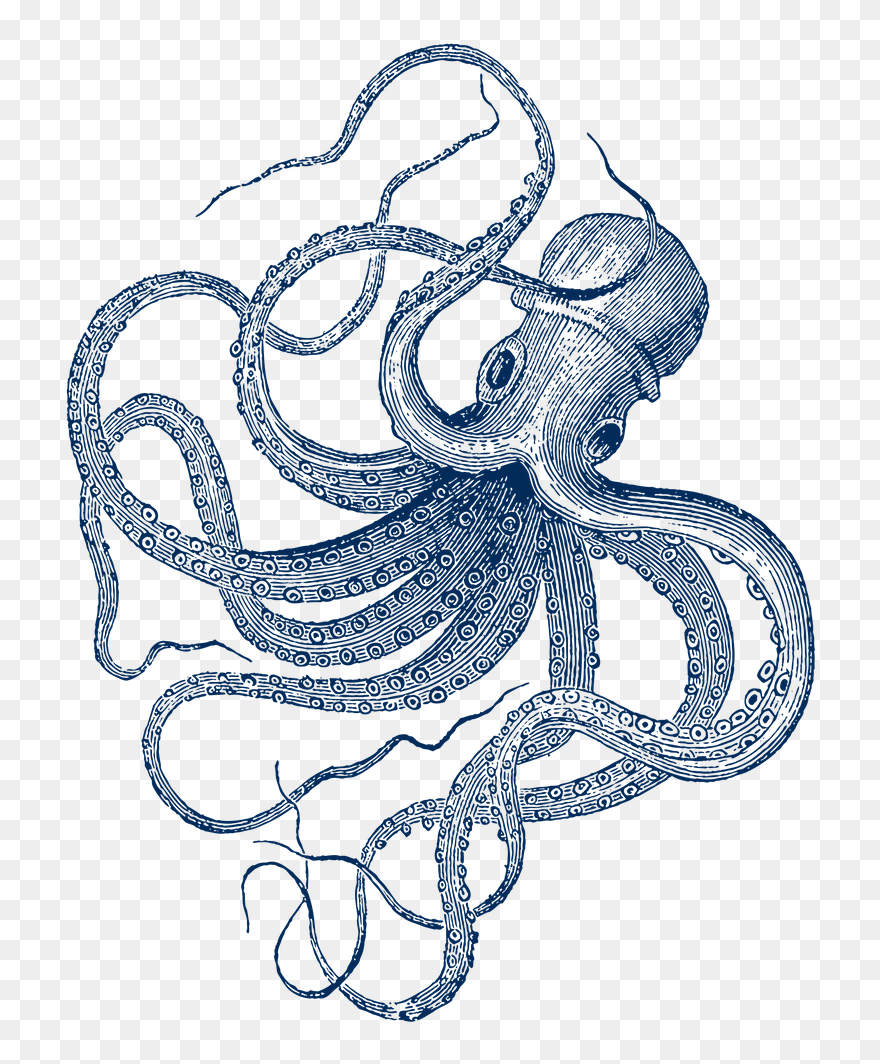 Vintage Octopus Illustration Clipart