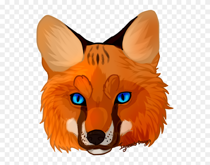 Thumb Image - Fox Face Clipart - Png Download