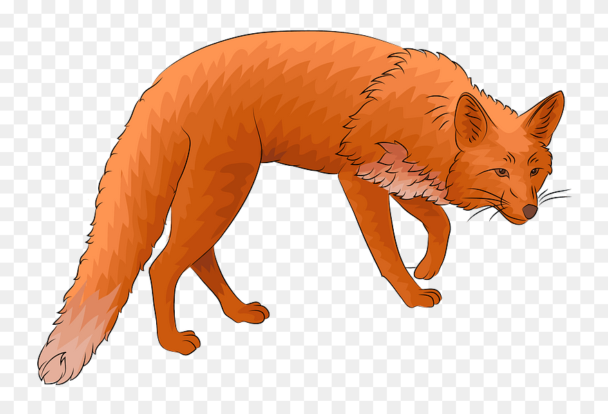 Red Fox Clipart - Png Download