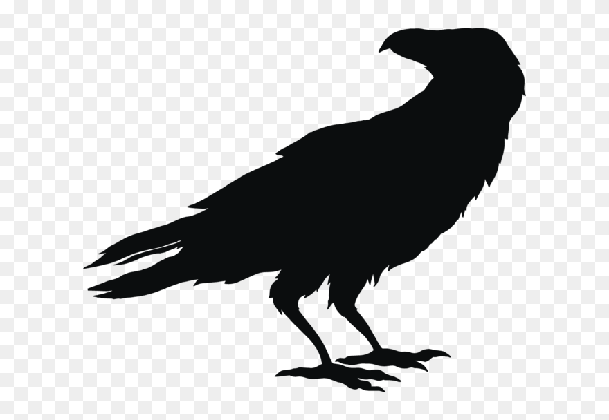 Owl Bird Silhouette Clip Art - Owl In Flight Silhouette - Png Download