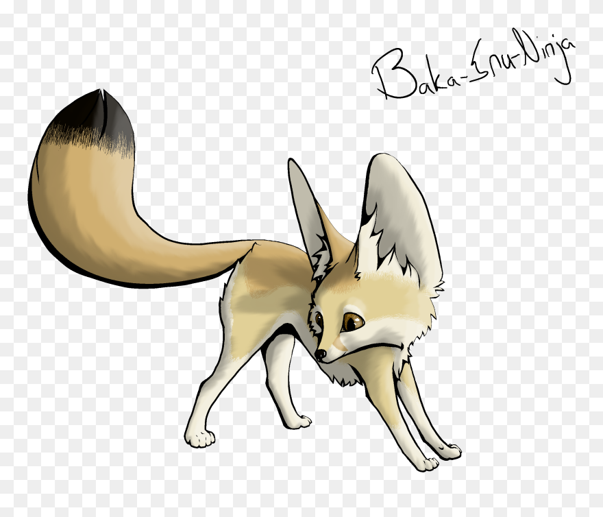 Fennec Fox Clipart Cute - Fennec Fox Drawing Easy - Png Download