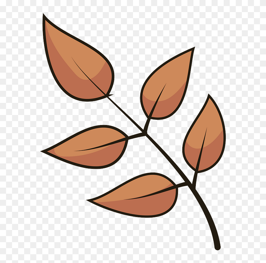 Autumn Leaves Clipart - Png Download