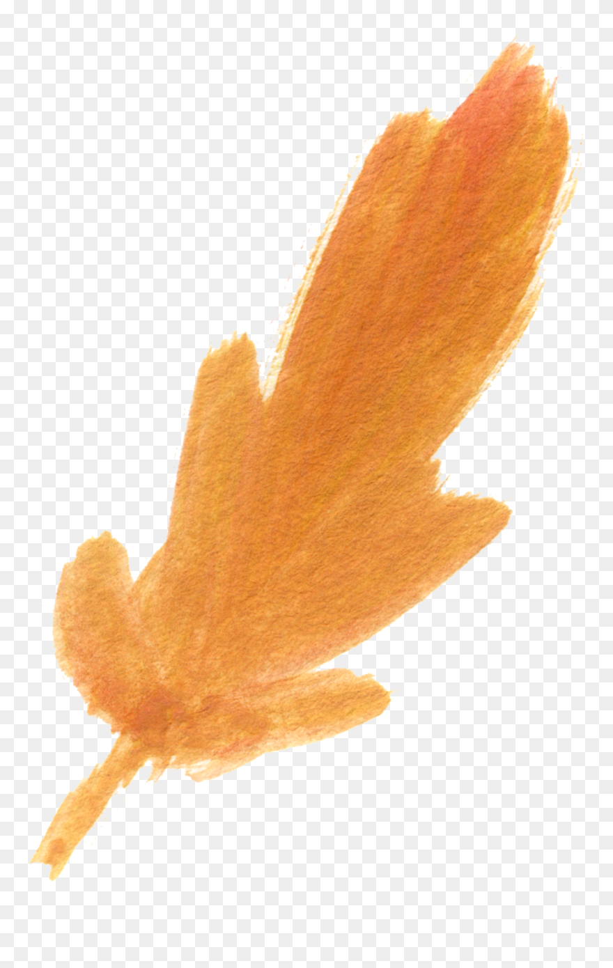 Free Orange Watercolor Transparent Clipart