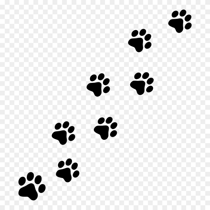 Paw Print Clip Art - Cat Paw Prints Clipart - Png Download