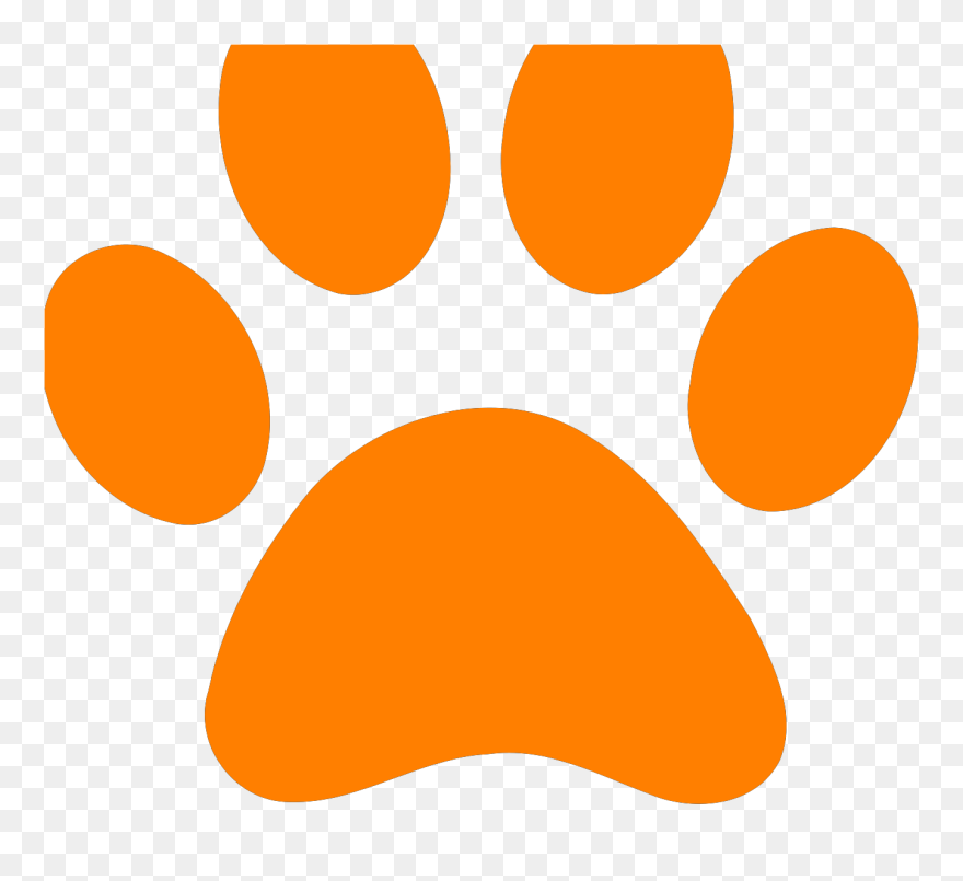 Green Paw Print Png Icons - Transparent Green Paw Print Clipart