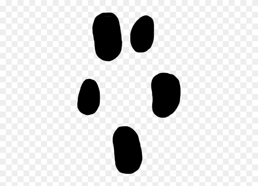 Rennaisance Clipart Paw Print - Shrew Paw Print - Png Download