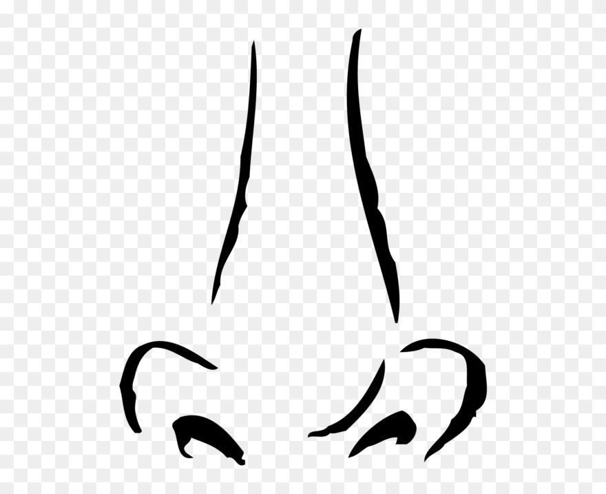 Nose Clipart Png - Transparent Background Nose Drawing Png