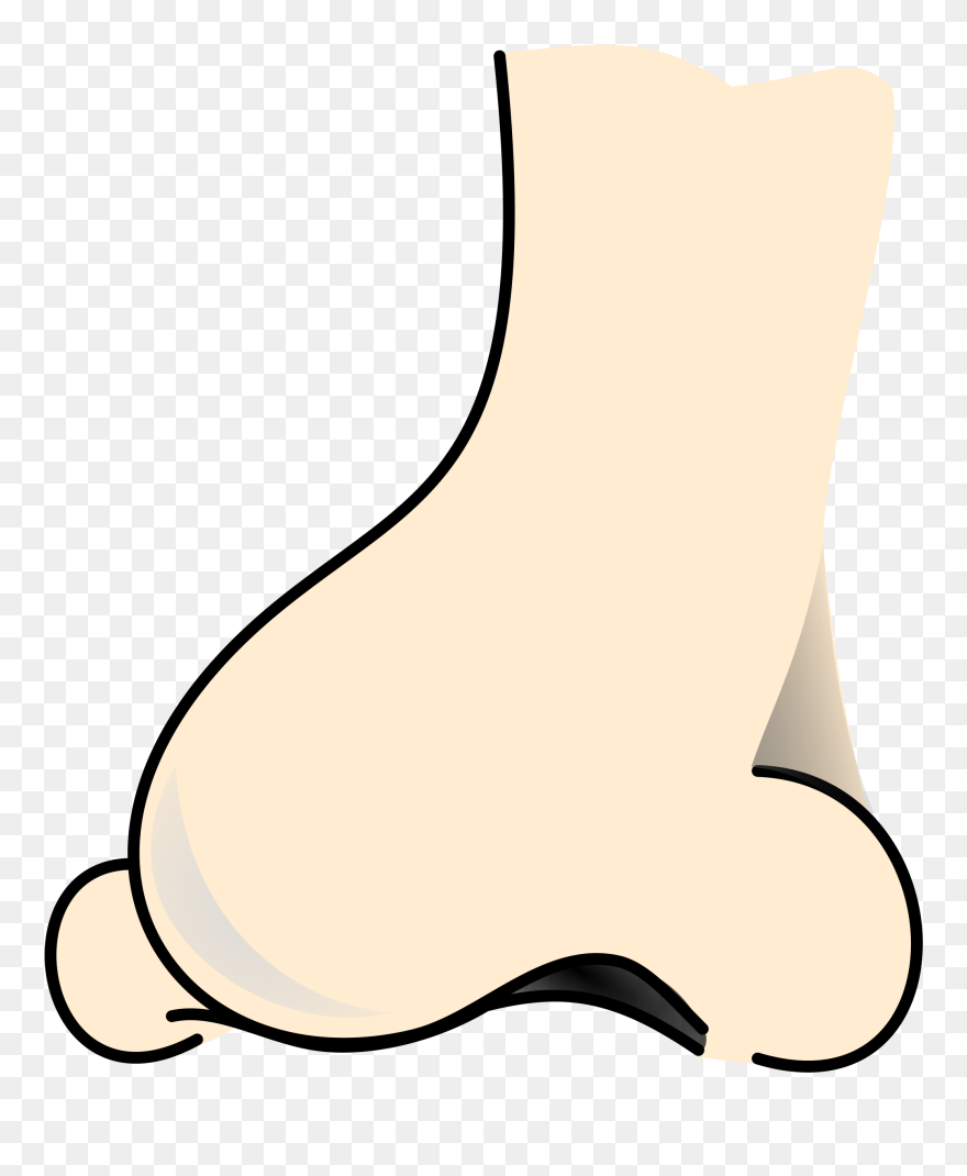 Nose 2 Colored Clip Arts - Big Nose Transparent - Png Download