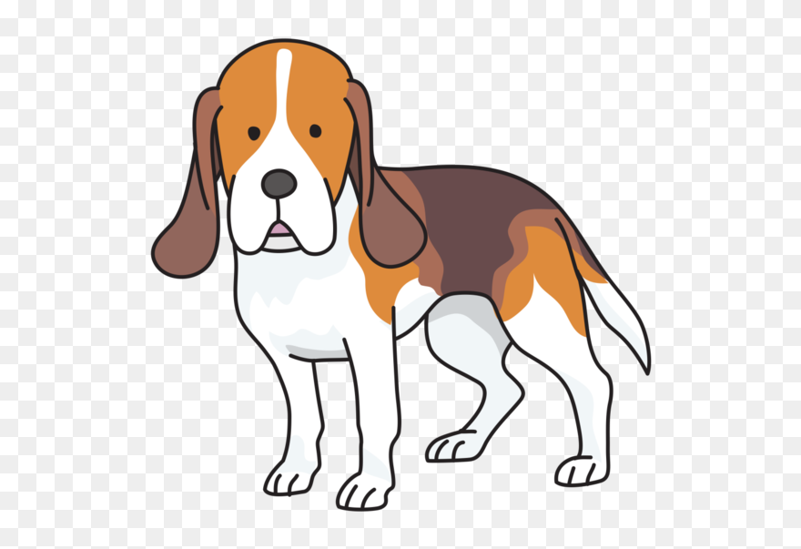 Transparent Dog Snout English Foxhound Hound Clipart - Beagle-harrier - Png Download