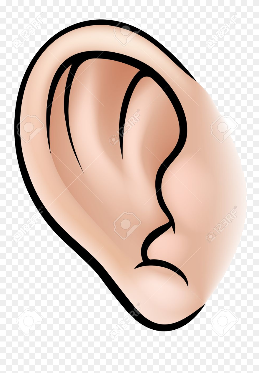 Art Clip Part - Parts Of Body Ear - Png Download