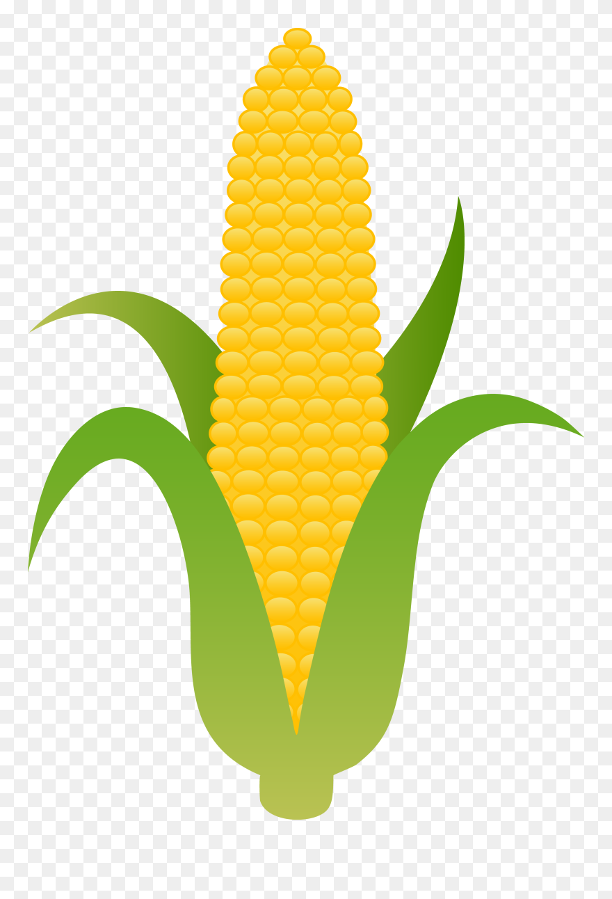 Corn Clip Art - Png Download
