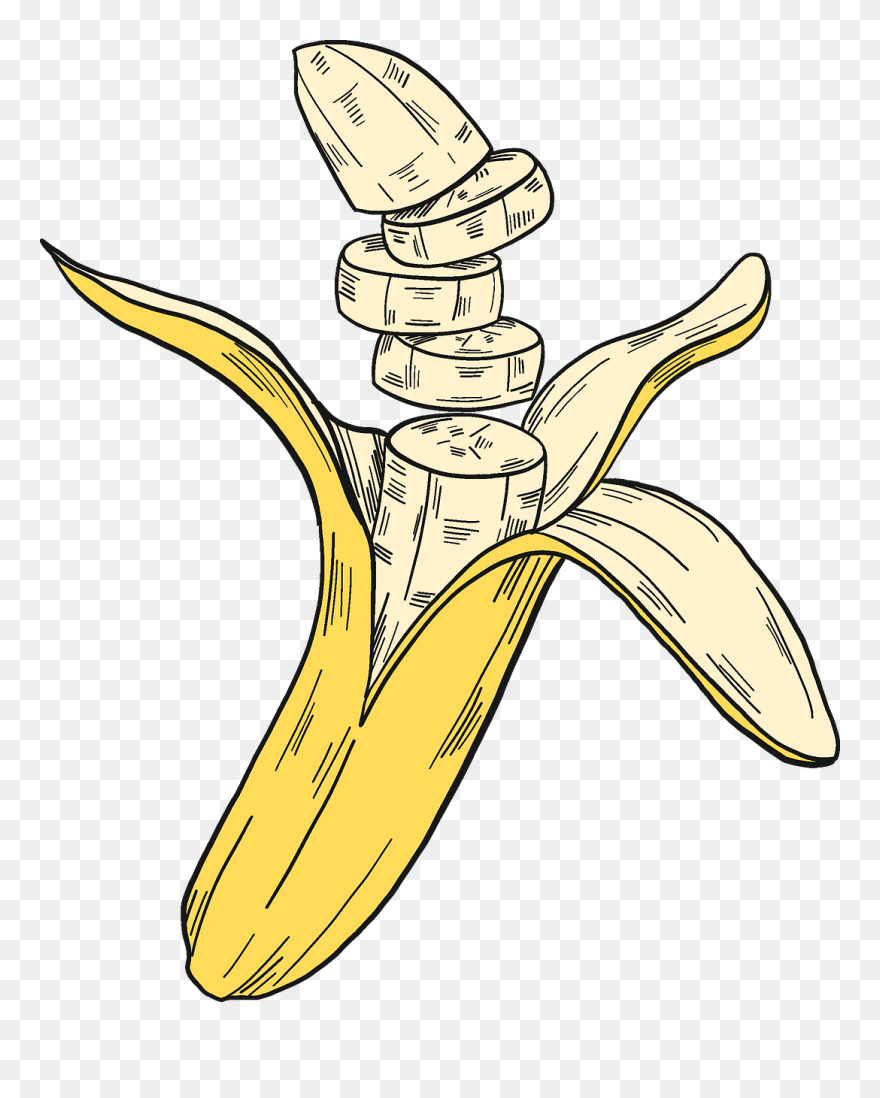 Clip Art - Png Download