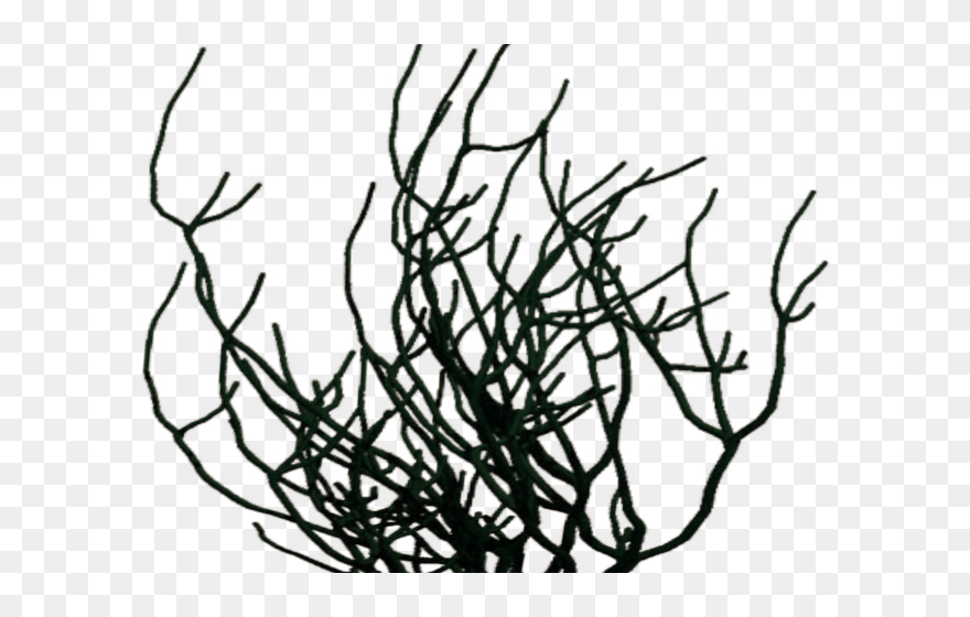 Transparent Silver Anniversary Clipart - Clip Art - Png Download