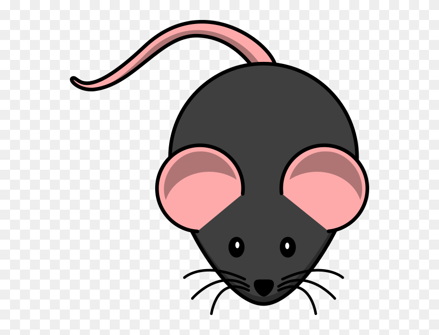 Transparent Background Rat Clipart - Png Download