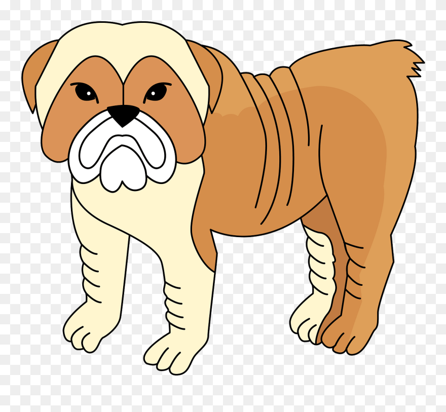 Bulldog Clipart - Companion Dog - Png Download