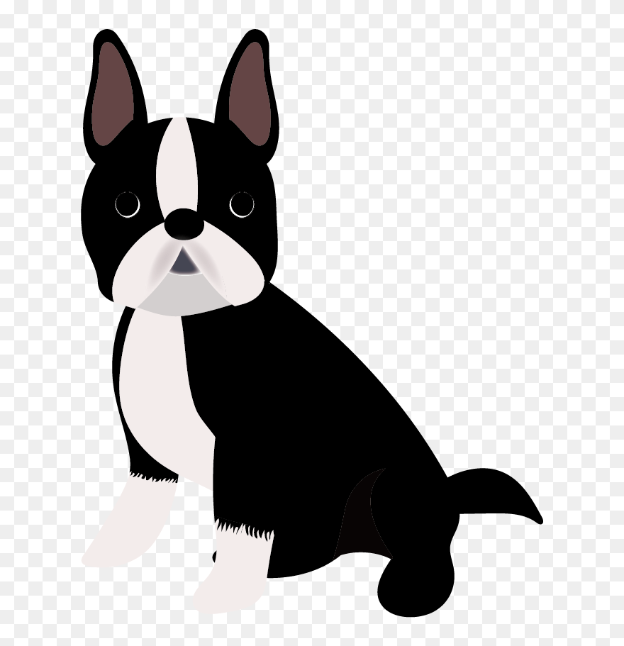 Boston Terrier Puppy Dog Breed Companion Dog French - Boston Terrier Clipart Png Transparent Png