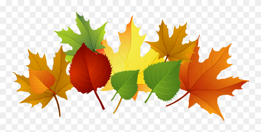 Fall Leaf Clip Art Free Cliparts That You Can Download - Autumn - Png Download