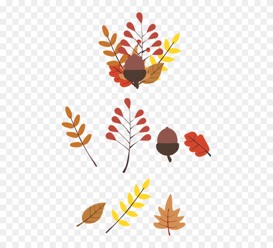 Clip Art - Png Download