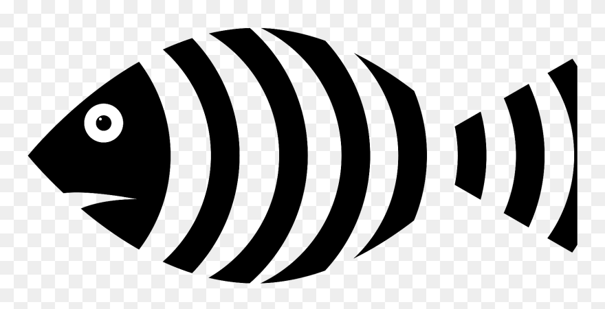 Zebrafish Clipart Black And White - Png Download