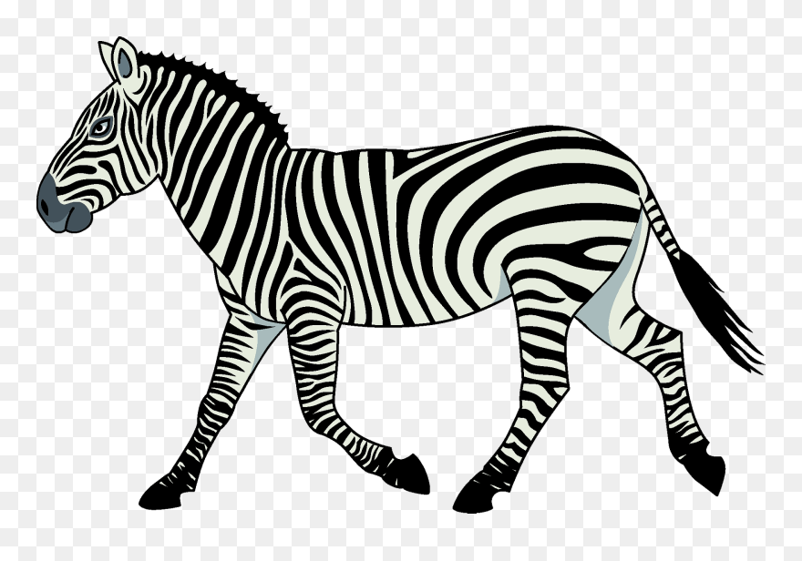 Zebraclipart - Png Download