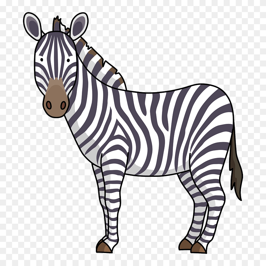 Zebra Animal Clipart - シマウマ イラスト - Png Download