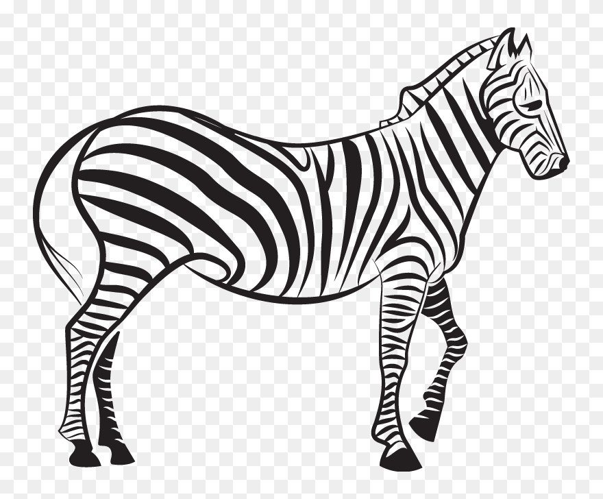Zebra Euclidean Vector Illustration - Zebra Vector Black And White Clipart