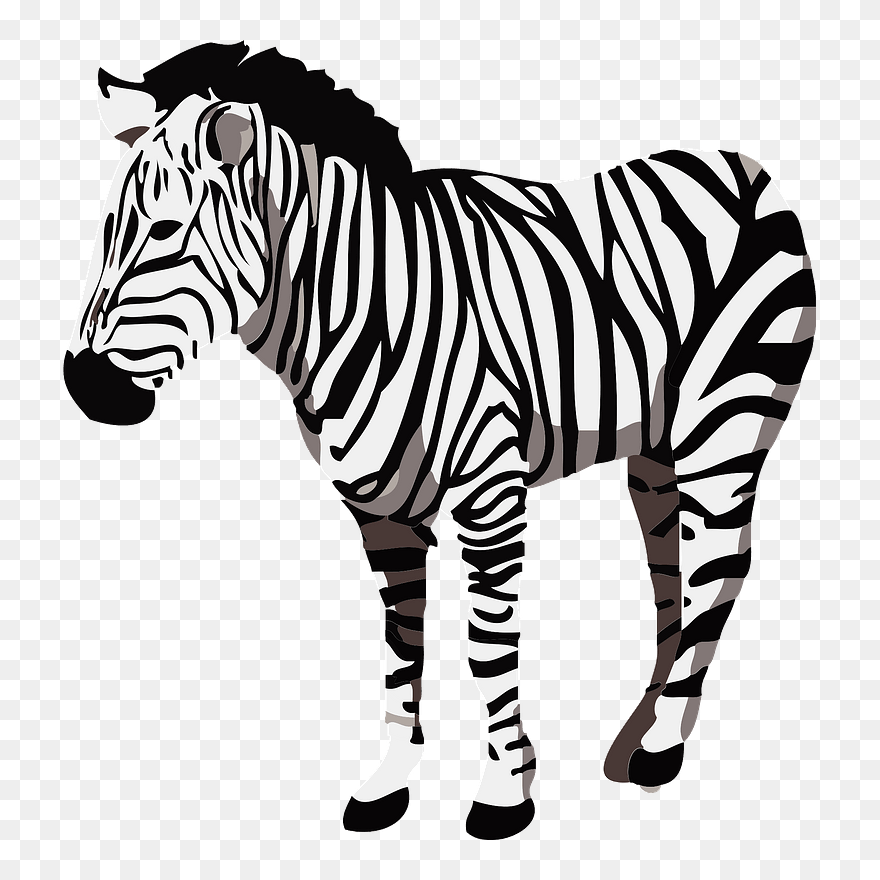 Zebra Animal Clipart - シマウマ フリー 素材 - Png Download