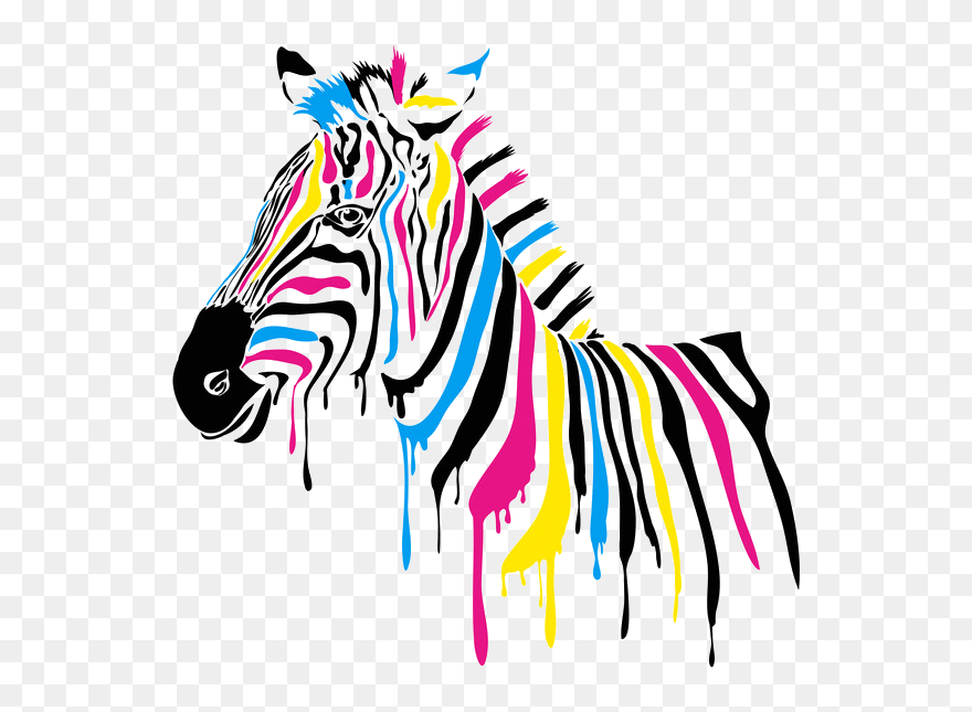 Color Graphic Design Transprent - Sticker Murale Colorée Clipart