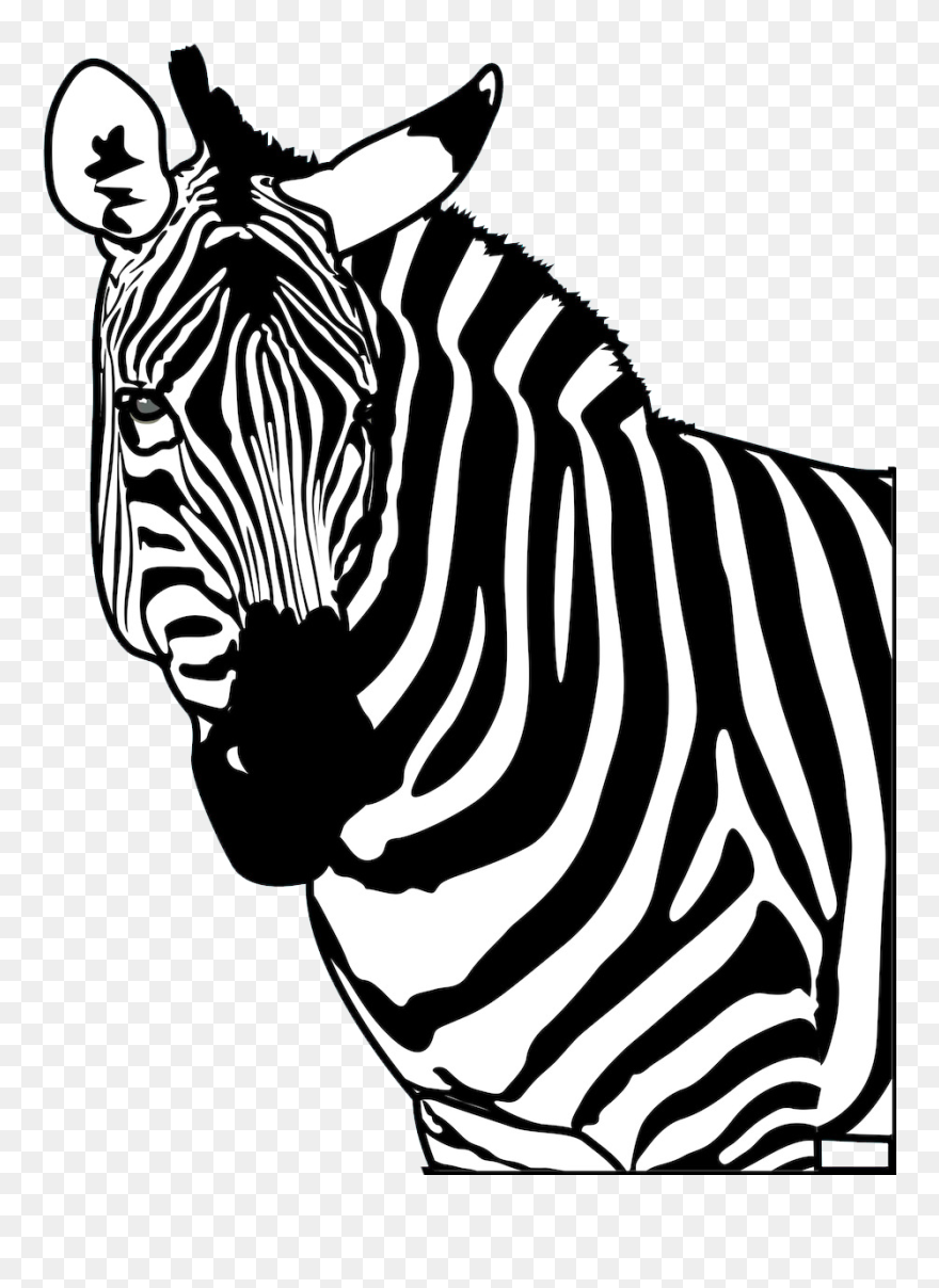 Transparent Zebra Silhouette Png - Black Zebra Silhouette Transparent Clipart