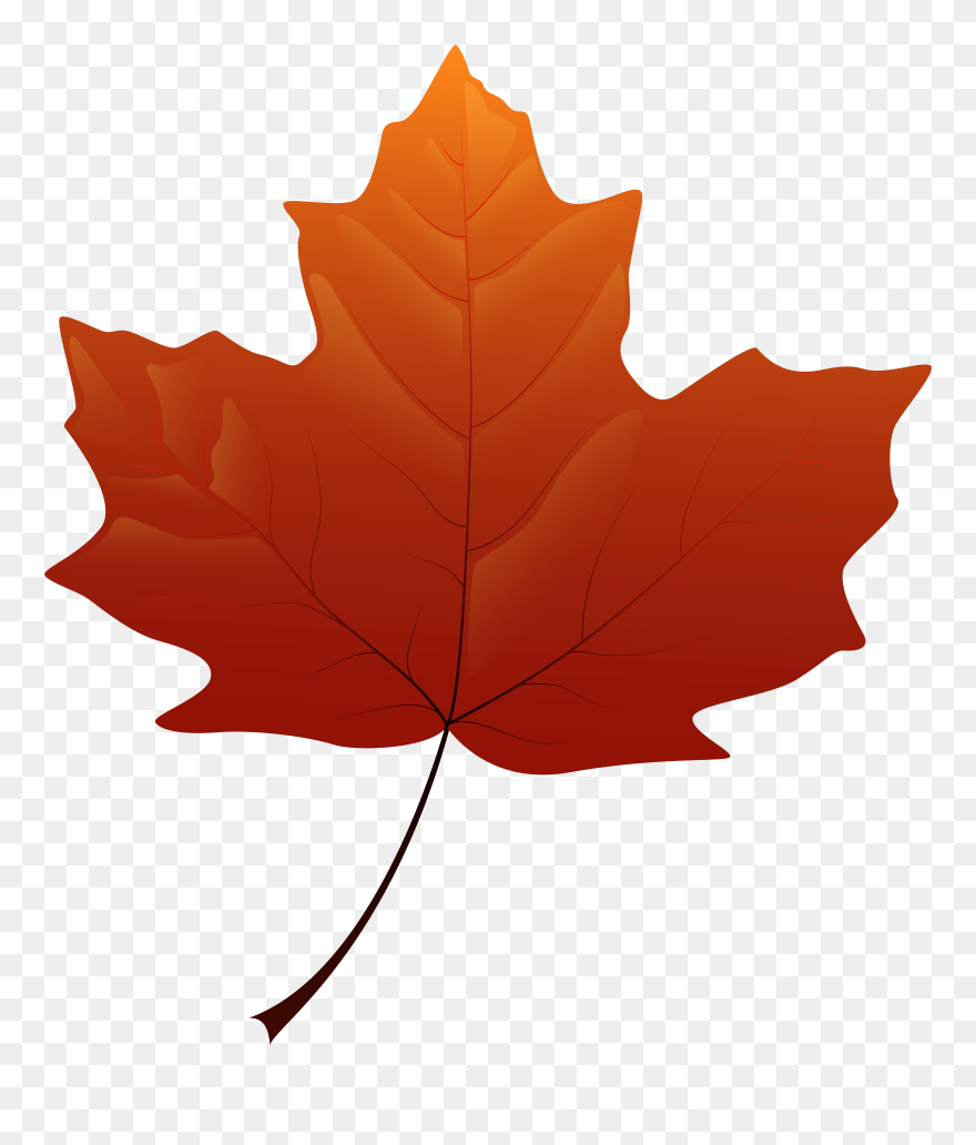 Clipart Maple Leaf Autumn Leaves - Png Download