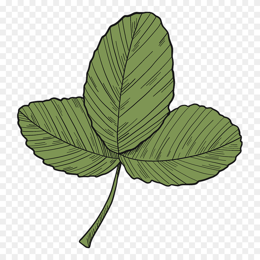 Strawberry Leaves Clipart - Png Download