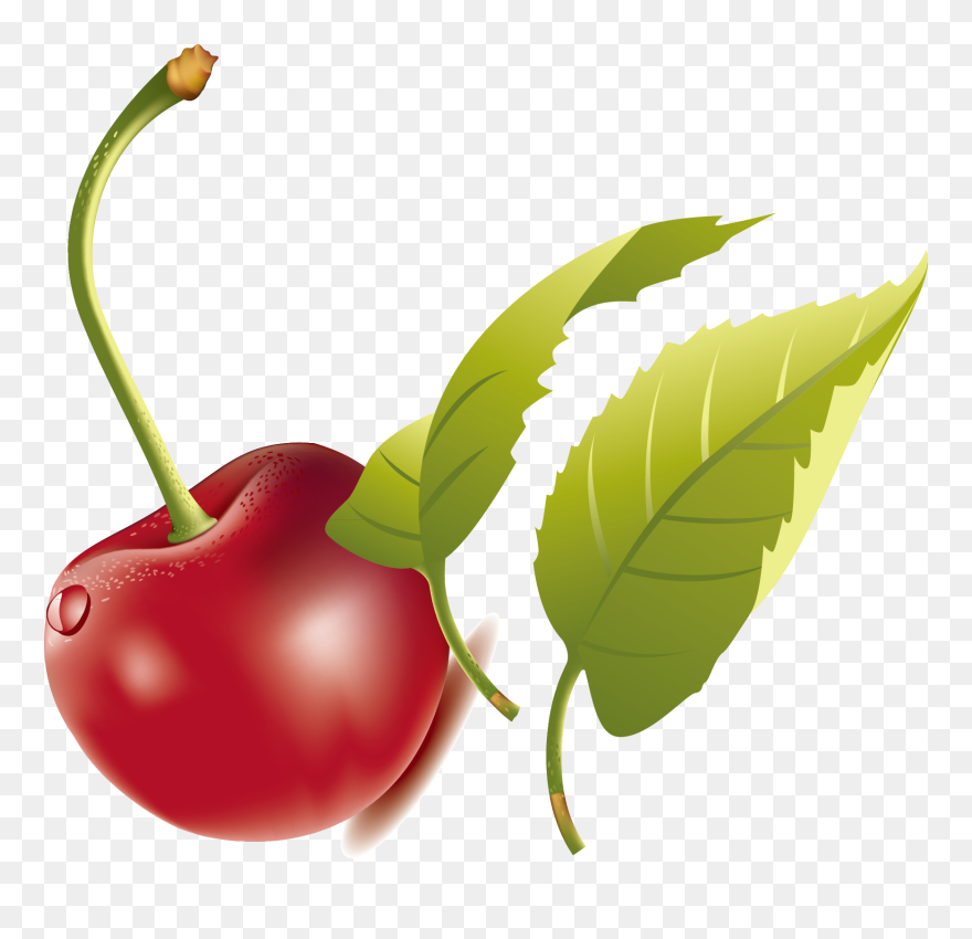 Green Leaves Clipart Cherry Leaf - Cherry - Png Download