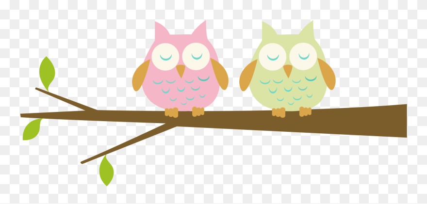 Sleeping Owl Clipart Free Graphic Black And White Library - Baby Owl Clipart - Png Download