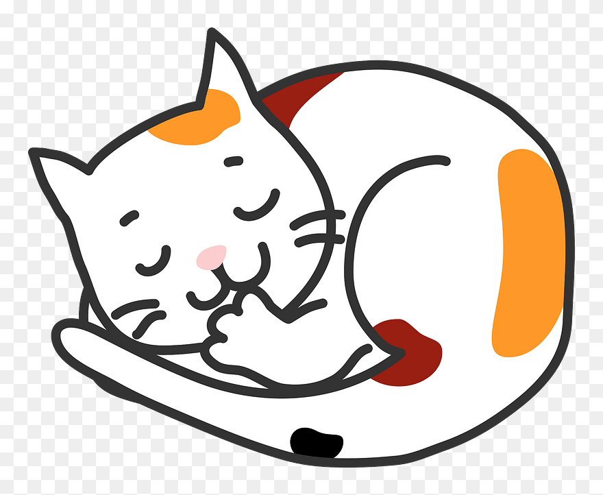 Cat Animal Sleeping Clipart - Cat - Png Download