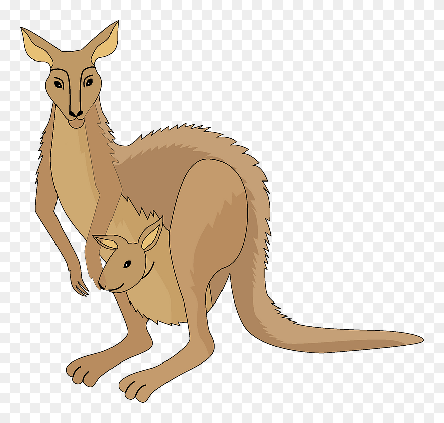 Kangaroo Clipart - Kangaroo - Png Download