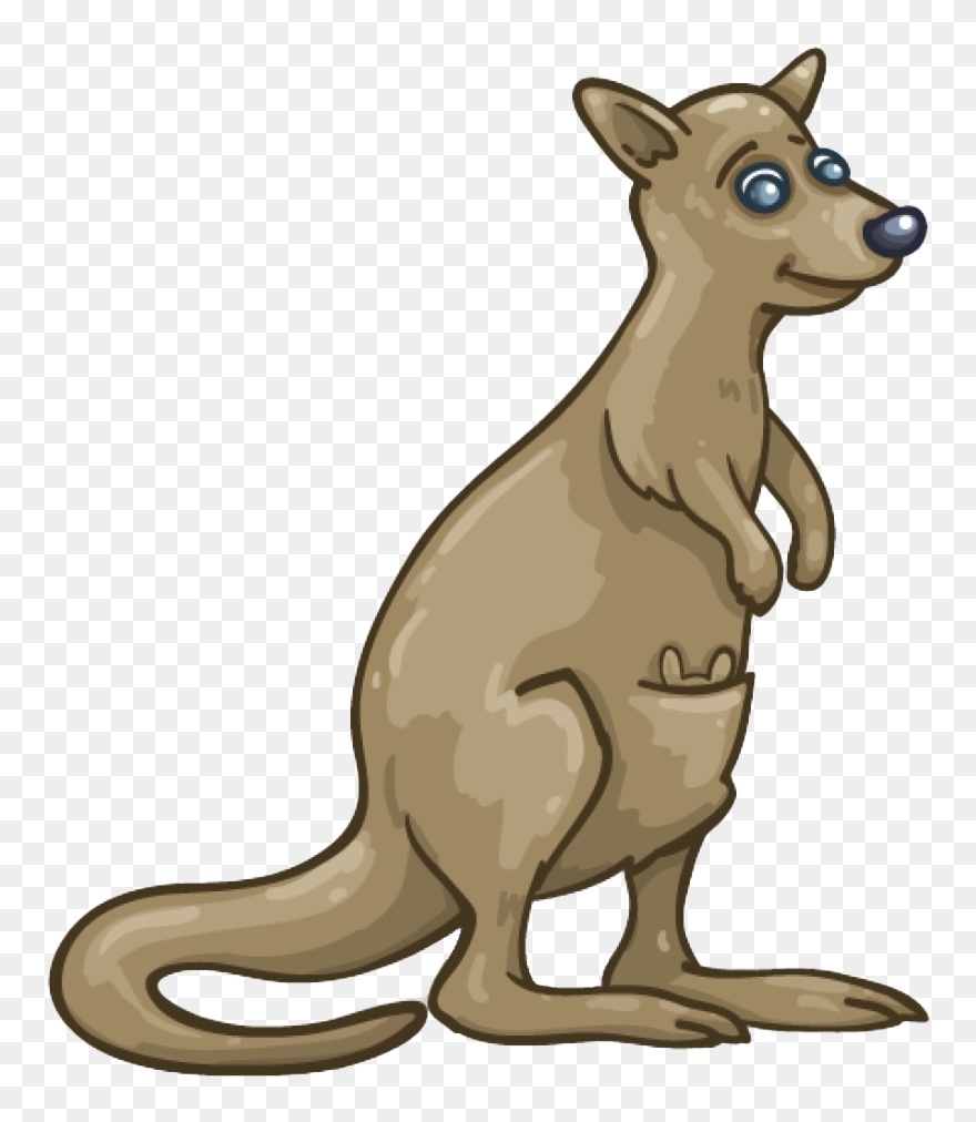 Kangaroo Wallaby Png Clipart - Wallaby Transparent