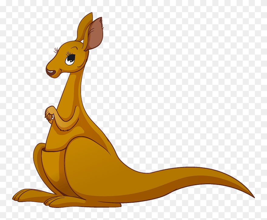 Kangaroo Clipart - Cartoon - Png Download