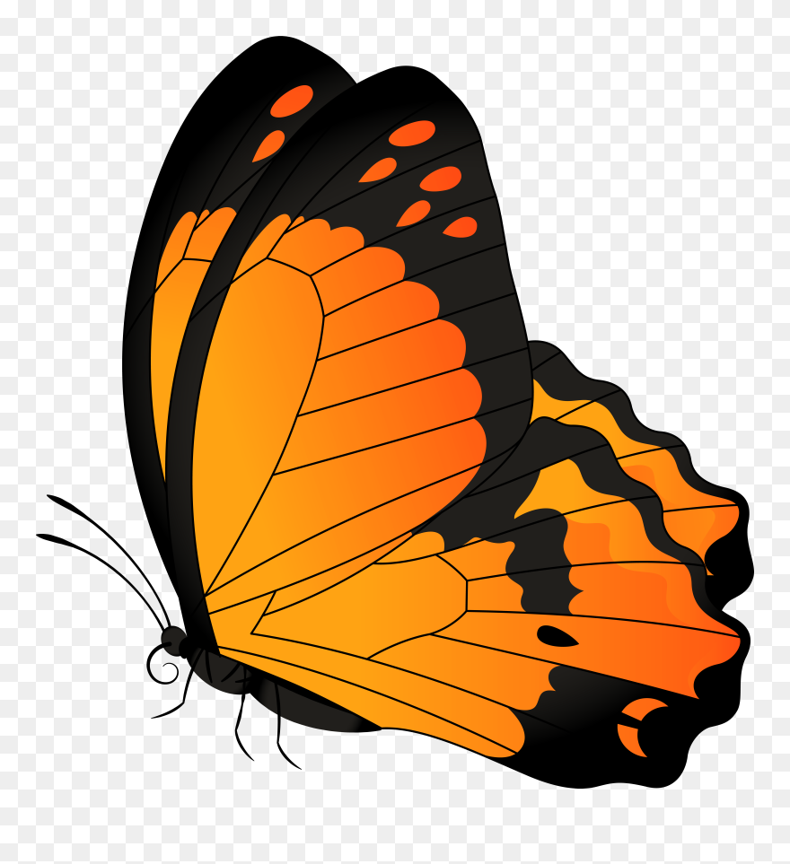 Butterfly Orange Transparent Clip Art Image - Png Download